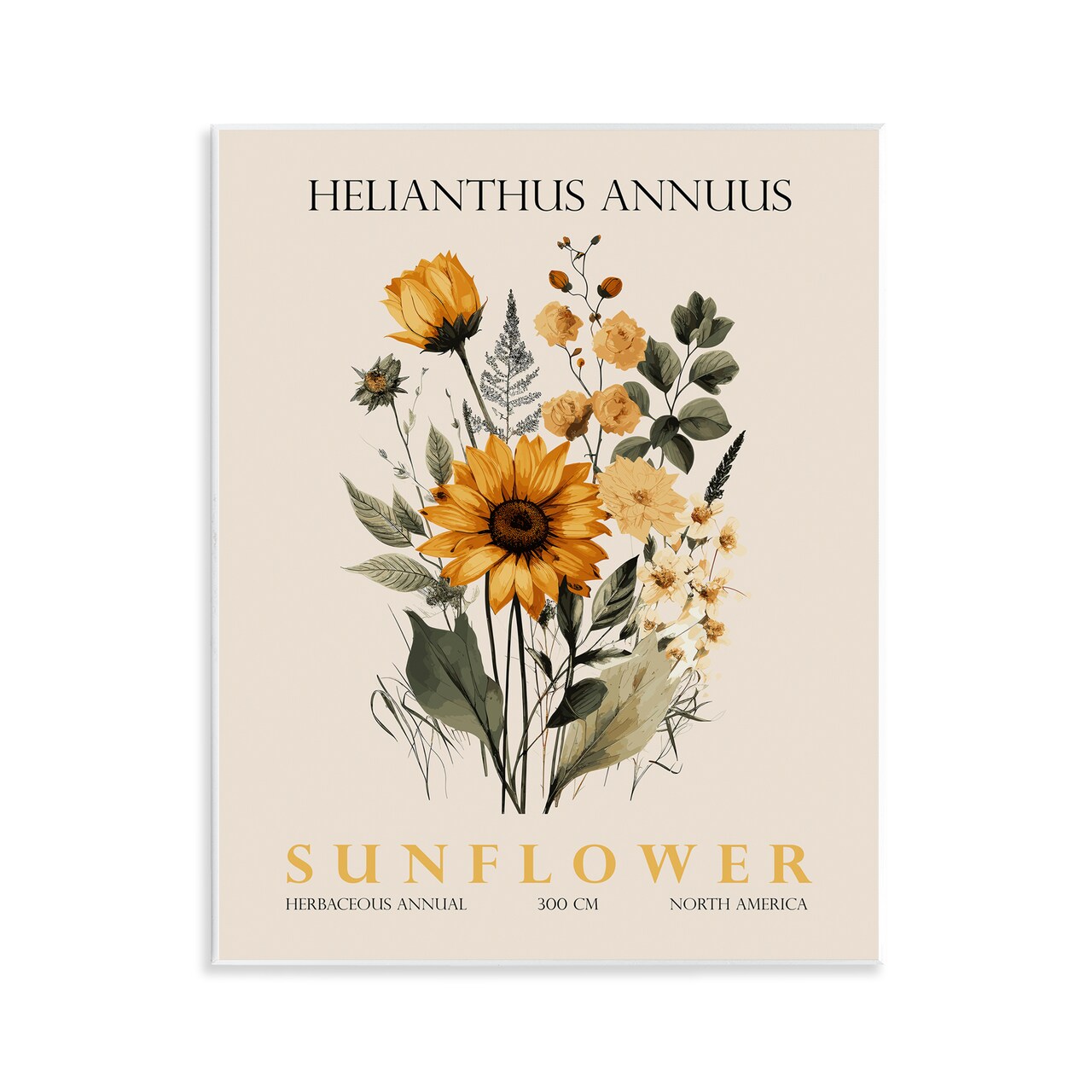 Stupell Industries Natural Sunflower Bundle Wall Plaque, design by Christopher Giampietro